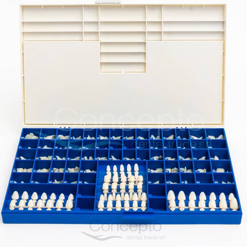 Kit Coronitas Policarbonato Svenska X 180 Un.
