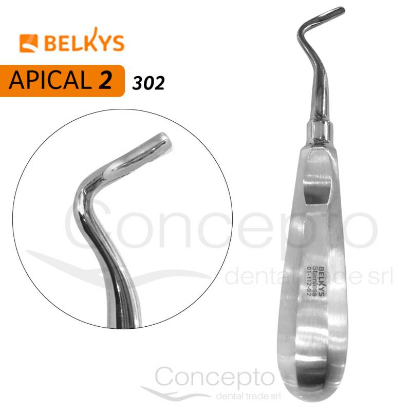 Elevador Apical Izquierdo N°2 Belkys