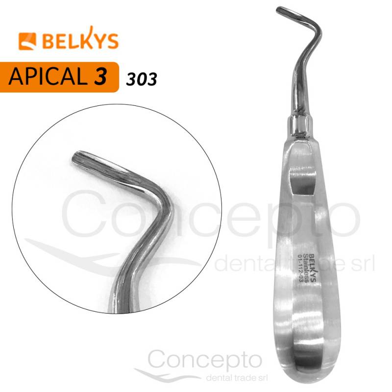Elevador Apical Derecho N° 3 Belkys