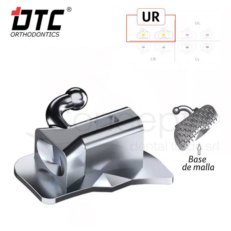 Tubo Dtc  Serie Zeal Ur Roth Simple 1 Molar X 10 Un.
