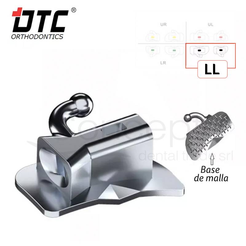 Tubo Dtc Serie Zeal Ll Tecnica Roth Simple 1 Molar X 10 Un.