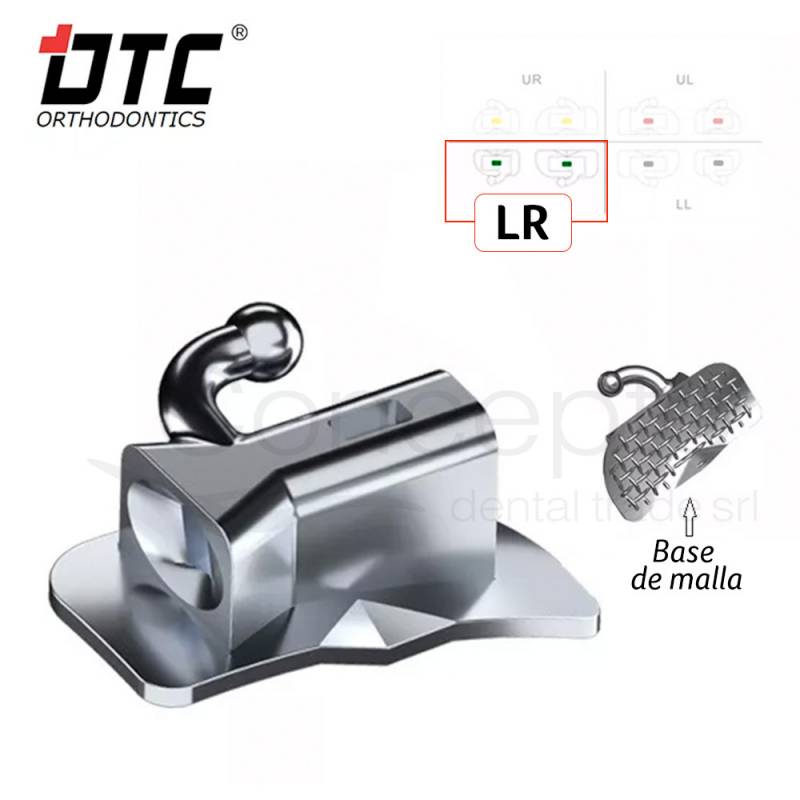 Tubo Dtc Serie Zeal Lr Roth Simple 1 Molar X 10 Un.