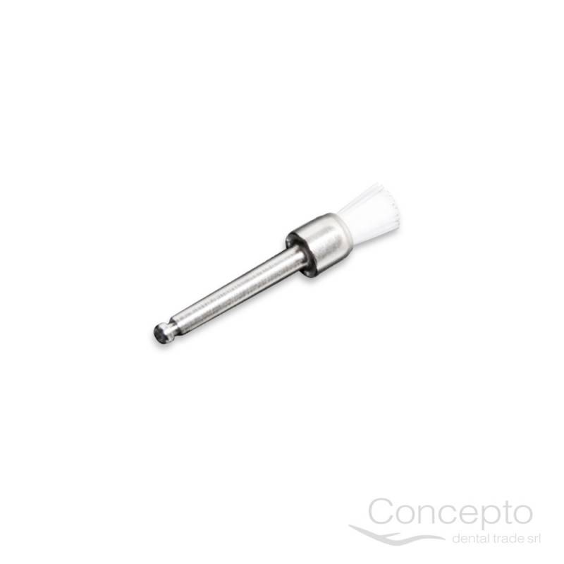 Brochita Ca Blanca Microdont