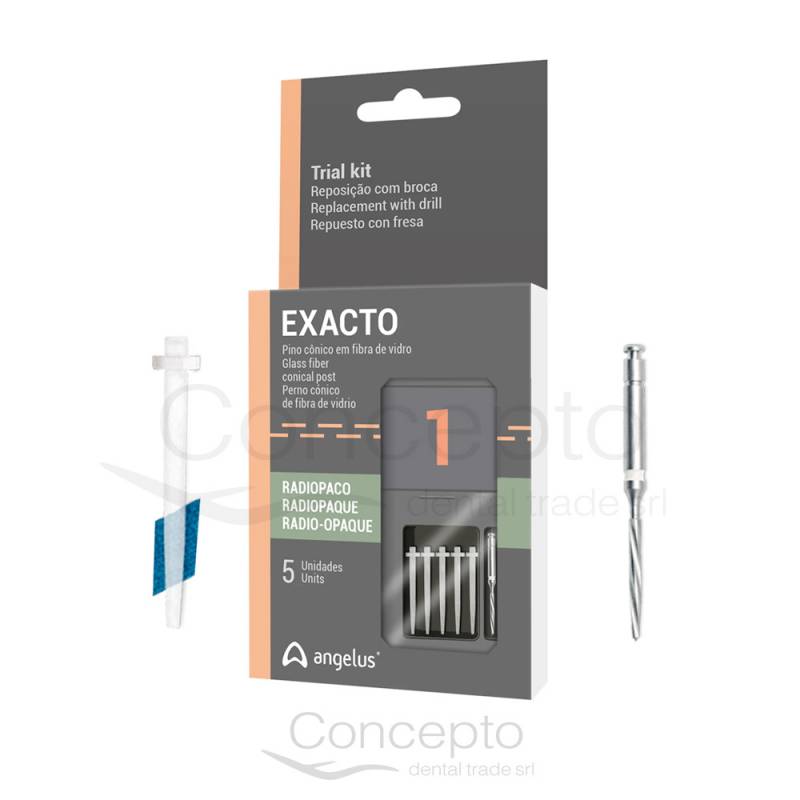 Exacto Mini Kit Angelus  N°1 (5 Postes + Fresa) Angelus