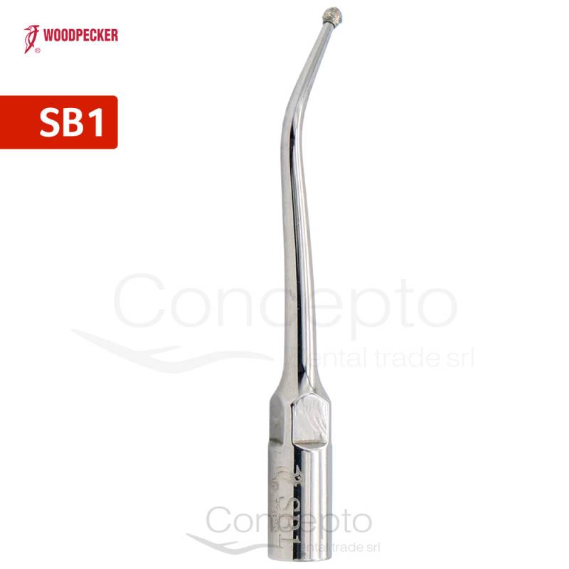 Punta Cavitador Woddpeacker Sb1