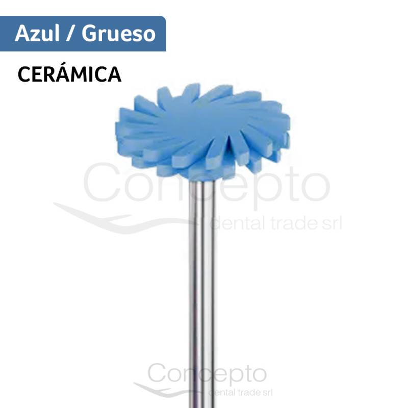 Spingloss P/Pulir Ceramica Zirconia Azul (Grueso) X 1 Un.