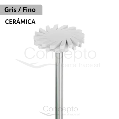Spingloss P/Pulir Ceramica-Zirconia Gris (Fine) X 1 Un. Micr